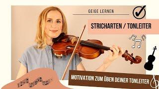 Geige lernen TUTORIAL: Stricharten/Übungen auf der D-Dur Tonleiter für Anfänger