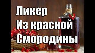 Домашний ликер из красной смородины   Лучший ликер для девочек.Видео 18+