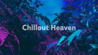 ChillOut Heaven [chromotherapy + chill lofi beats]