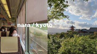 japan vlog: nara & kyoto  2-day itinerary | nara park, kiyomizudera, inari, arashiyama etc.
