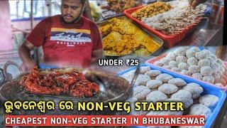 Man Selling 15 Types of Non Veg Starter | Non Veg Starter in Bhubaneswar | Street Food Bhubaneswar |