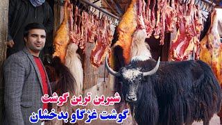 سفر به شهر، ولسوالی بهارک بدخشان، غژگاو پامیر ، قصه های بدخشی  Badakhshan faiz‍abad