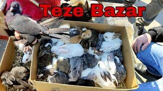 Teze Bazar #tezebazar #elixezer #dovsan