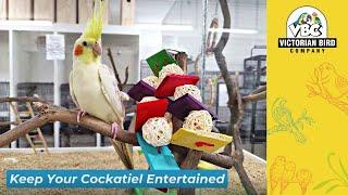 Cockatiel Toys| Victorian Bird Co