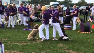 The Friendly Dog Club Circus 2014