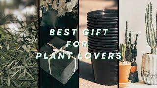 Top 10 Must-Have gifts for Plant Lovers