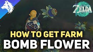 Where To Farm Bomb Flowers | Zelda Tears of The Kingdom