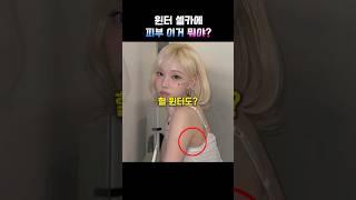 윈터 셀카에 피부 이거 뭐야?