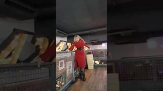 Привет любимый,я ждала️