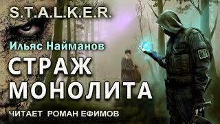 S.T.A.L.K.E.R. Страж Монолита (аудиокнига). БОЕВАЯ ФАНТАСТИКА. Ильяс Найманов. Читает Роман Ефимов.