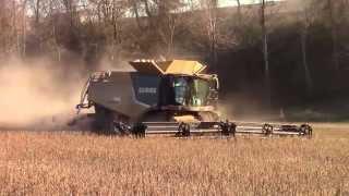 Big CLAAS Lexion Combines Harvesting Wheat Beans