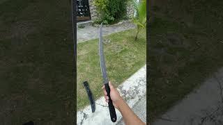 Black Ronin Wakizashi