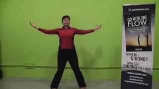 gina lim zhineng qigong sequence 7, 2nd part Body & Mind method