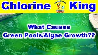 What Causes Green Pools & Algae Growth in Swimming Pools? We Can Help Explain - Chlorine King