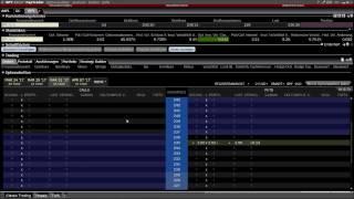 CapTrader Optionshandel und Strategien mit der Trader Workstation TWS Teil 1/2