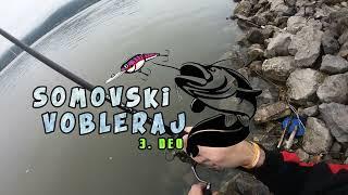 SOMOVSKI VOBLERAJ 3. DEO - Pecanje Soma na voblere | Wels catfish spin fishing