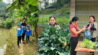 harvest vegetables to sell to get money to buy rice seeds and food to feed two children DANG THI DU