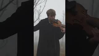 Zotov - violin