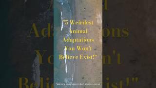 5 Weirdest Animal Adaptations You Won't Believe Exist! | Amazing animals