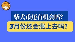 shib币 | 柴犬币 | 屎币 | 3月6日最新行情分析！柴犬币还有机会吗？3月份还会涨上去吗？