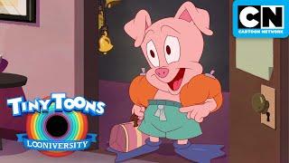 Hamton's Indecisiveness Therapy  | Tiny Toons Looniversity | Cartoon Network