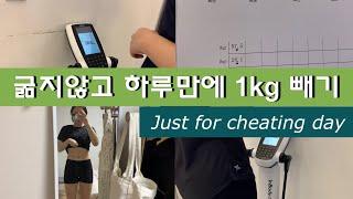 흥따챌린지/heungdda challenge/단기다이어트/오로지 치팅데이를 위한 치팅데이를 위해 하루 동안 굶지않고 1kg빼기!!