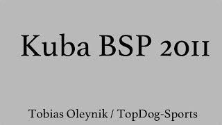 Tobias Oleynik & Kuba BSP 2011 / Protection Work