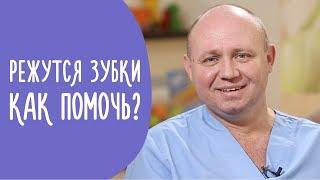 Прорезывания Зубов: Период Прорезывания, Симптомы и Способы Облегчения Боли | Family is...