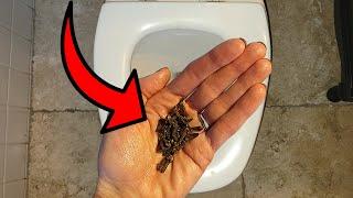 Use THIS simple trick to make your BATHROOM smell AMAZING!! 