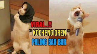 NGAKAK!! 7 Video Kocheng Oren bar bar yang bikin ngakak ll Kompilasi kocheng oren