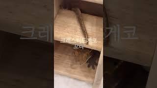심장 철렁하는 순간..