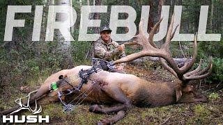 THE FIREBULL | CRAZIEST ARCHERY ELK HUNT EVER!!