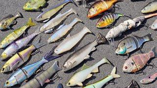 Swimbait Fishing Seminar (For Beginners And Advanced Anglers) Raw and Uncut!