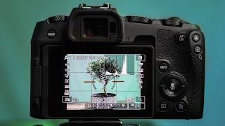Canon EOS RP - BEST Camera Settings For Photography