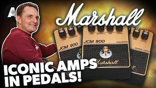 New Marshall Amp Series Pedals - Iconic Amps in Compact Pedals! - NAMM 2025