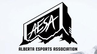 What is the Alberta Esports Association?