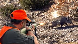 ENDLESS ACTION: INCREDIBLE MASSIVE BOAR SHOTS, EPIC DRONE HUNTING SCENES!