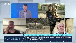 Συναγερμός για τα κρούσματα πανώλης στα αιγοπρόβατα - Μέτρα και έλεγχοι | 30/7/2024 | ΕΡΤ