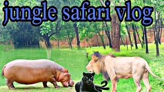 khunkhar Sher | Sher ki dahad ne ki awaaz | sher vs hippo ki ladai | and all janwar  vlog video.....