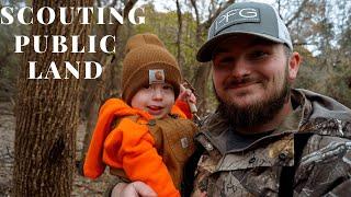 Oklahoma Public Land Scouting, Buck Sign!