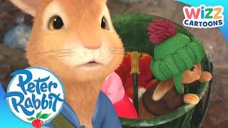 @OfficialPeterRabbit - Lucky Escapes | Action-Packed Adventures! | Wizz Cartoons