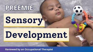 How Does a Premature Baby Develop Their Senses? | Preemie Sensory Development Explained