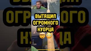 ТОПОВЫЙ УЛОВ #русскаярыбалка4 #рр4 #рр4фарм #russianfishing4