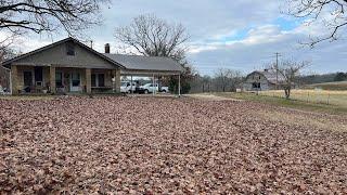 MAJOR LEAF CLEAN UP on families NEARLY 100 year old FARM! May just be MY FAVORITE leaf clean up YET!