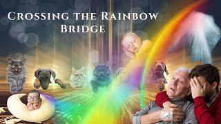 How To Talk To the After Life. Crossing The Rainbow Bridge.