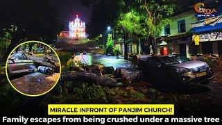 #Miracle Infront of Panjim church! Family escapes from being crushed under a massive tree