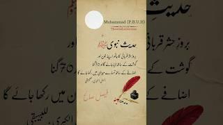 Hadith E Nabvi (P.B.U.H) #hadith #prophet #allah #muslim #god #love #unfrezzmyaccount #quotes
