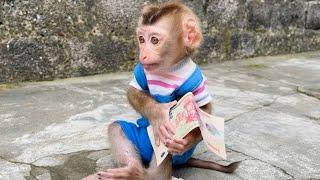 Tina the monkey is waiting to return the money she found.