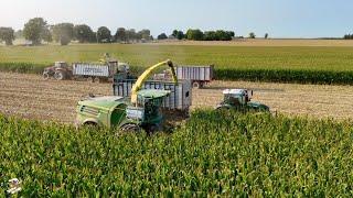 Royer Farms Corn Silage Harvest 2024 | Louisville Ohio