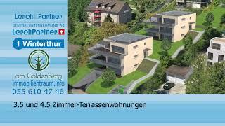 Goldenberg-Winterthur-60Sek-Sept2022-Lerch&Partner-lerchpartner.ch